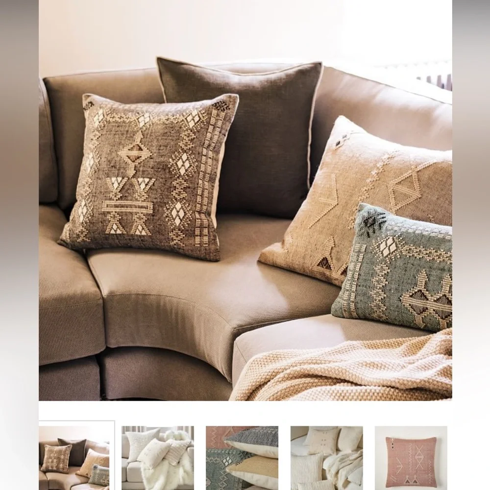 WEST ELM Mod throw PILLOW.  Cover AND INSERT! PLUS ONE MORE!!!!!